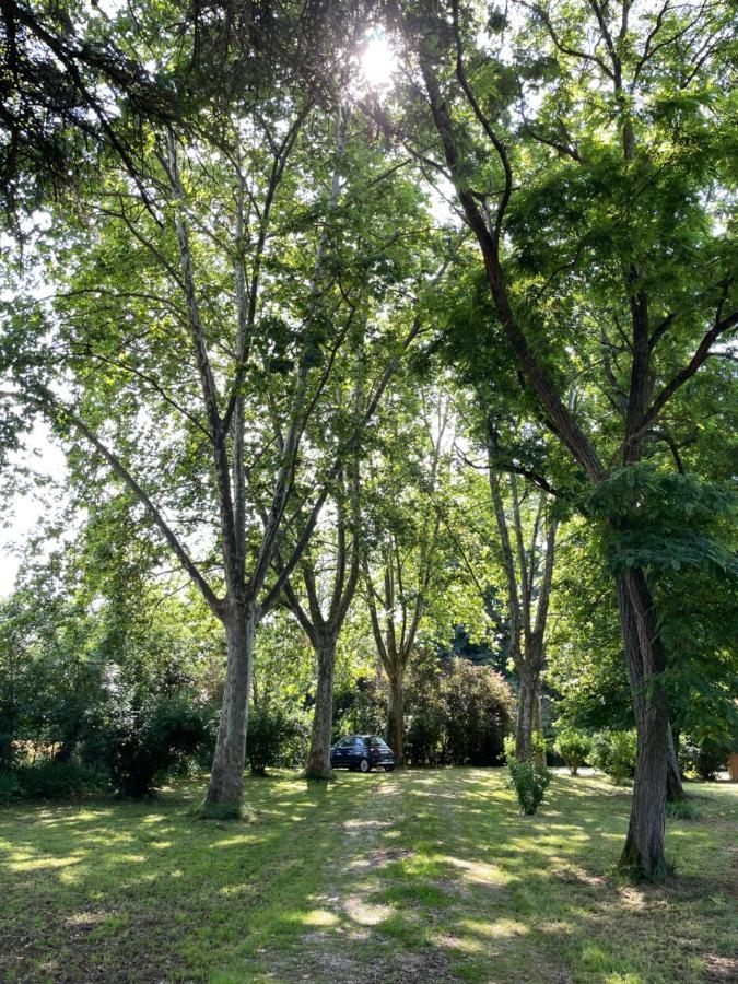 Petit Chateau Le Piot Bed & Breakfast Fleurance Dış mekan fotoğraf